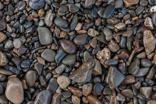 Textur aus nassen, glänzenden kleinen Meeressteinen — Stockfoto