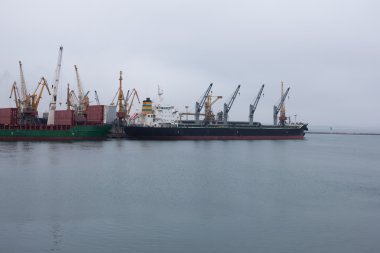 Kargo Vinçler, Odessa liman