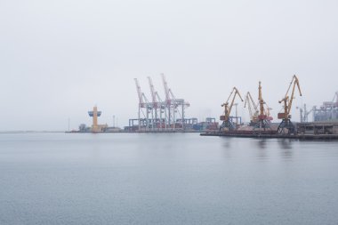 Kargo Vinçler, Odessa liman