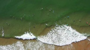 Aerial drone view of surfers with colorful surfboards in sea, preparing to ride waves. The calm waters and beautiful coastline offer perfect setting for exciting water sport