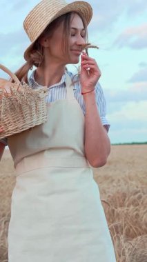 Hasır şapkalı ve önlüklü bir kadın altın buğday tarlasında bir sepet tutuyor ve kırsal kesimde güneşli bir öğleden sonra bir buğday sapını inceliyor..