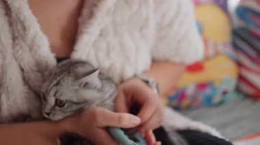 Değer veren kadın elleri kedi tırnaklarını evcil hayvan makasıyla kesiyor, kedisini nazikçe evde tımar ediyor.