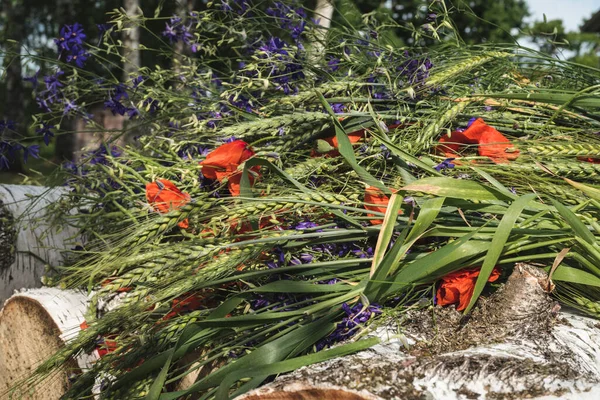 Jęczmienne Uszy Czerwone Maki Niebieskie Wiejskie Kwiaty Tkania Letniego Wieńca — Zdjęcie stockowe