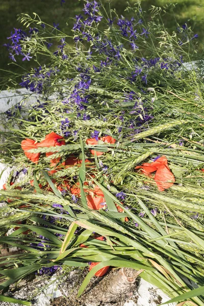 Jęczmienne Uszy Czerwone Maki Niebieskie Wiejskie Kwiaty Tkania Letniego Wieńca — Zdjęcie stockowe