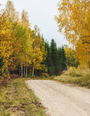 Ormanın kenarında solda çakıllı bir köy yolu ve yolun kıvrımında bir av kulesi var.