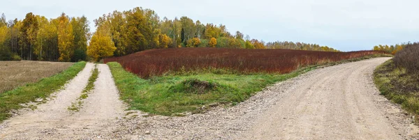 Carrefour Avec Deux Routes Campagne Gravier Automne Loin Arbres Feuilles — Photo