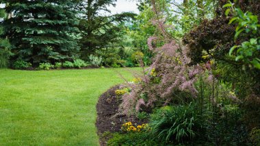 Baharda bahçe yeşili manzara, çeşitli ağaçlar ve çiçek yataklarıyla