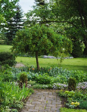 Yazın dekoratif bahçe manzarası; ön planda asfalt bir yol var, sonra yuvarlak bir çiçek yatağı var gövdesinde dekoratif bir çalılık