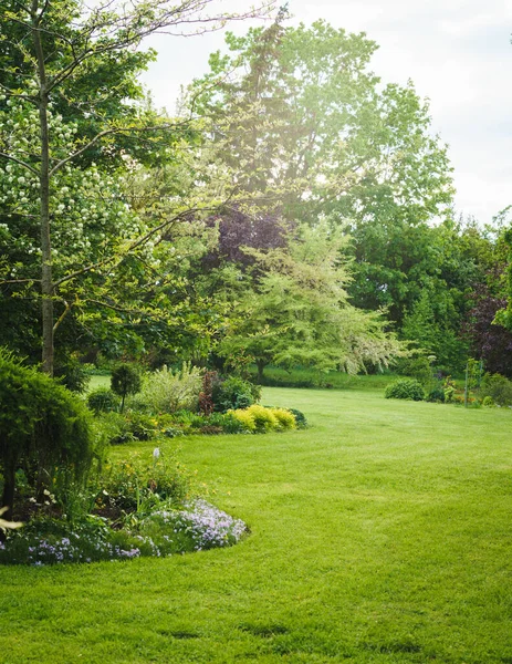 Jardim Ornamental Verde Verão Árvores Cores Diferentes Plantas Canteiros Flores — Fotografia de Stock