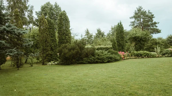 Uitzicht Siertuin Achtertuin Een Bed Met Diverse Naaldbomen Bloemen Een — Stockfoto