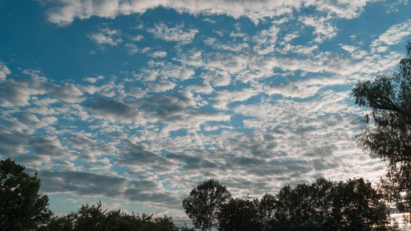 Fond Ciel Nuageux Beaucoup Nuages Blancs Divers Sommets Arbres — Photo