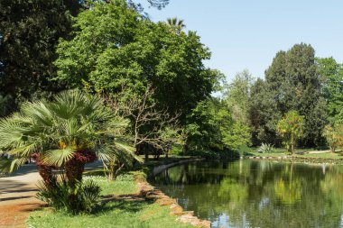 Caserta, İtalya - 05.01.2025: Reggia di Caserta (Caserta Kraliyet Sarayı) 'nın saray bahçesinin manzarası; güneşli bir gün. Sudaki ağaçların yansımaları..