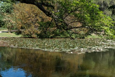 Caserta, İtalya - 05.01.2025: Caserta Kraliyet Sarayı 'ndaki Reggia di Caserta sarayının manzarası. Sudaki ağaçların yansımaları. Suyun üzerinde dal var..