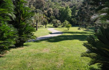 Caserta, İtalya - 05.01.2025: Palmiye dalları boyunca Reggia di Caserta (Caserta Kraliyet Sarayı) sarayının güzel manzarası, ağaç türlerinin çeşitliliği ve dolambaçlı yollar.