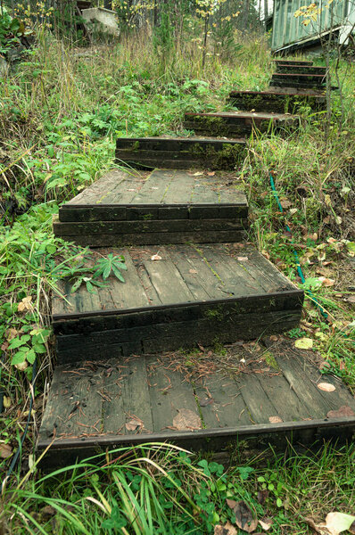 old wooden staircase covered with moss among trees and grass. High quality photo