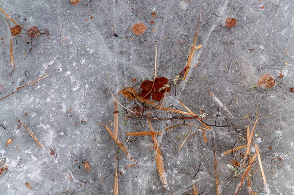 Sfondo naturale invernale e primaverile. Fondo di ghiaccio con ramoscelli e foglie ghiacciate — Foto Stock