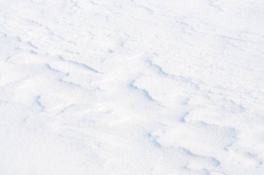 Güzel bir kış geçmişi var. Karlı doku. Yüksek kalite fotoğraf