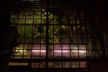 Geceleri büyük portakal pencereleri. Gürültü, tahıl.