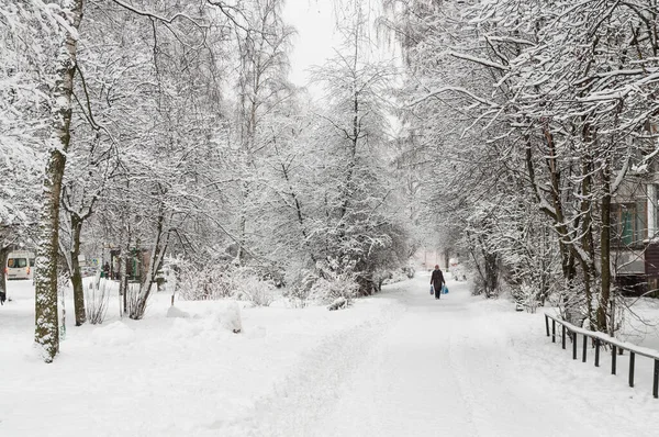 Petrozavodsk Oroszország 2021 Január Gyönyörű Téli Városi Táj — Stock Fotó