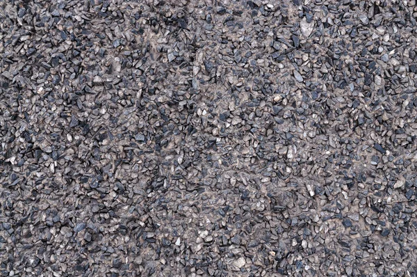 Texture Wall Covered Small Pebbles High Quality Photo — Stock Photo, Image