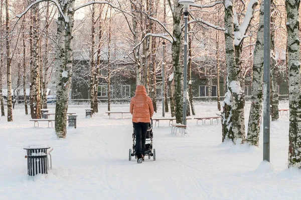 Kış Huş Ağacında Bebek Arabasıyla Gezen Bir Kadının Arkasından Manzara — Stok fotoğraf