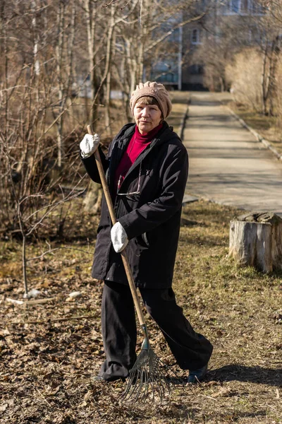 Yaşlı bir kadın süpürgeyle düşen yaprakları topluyor. Yüksek kalite fotoğraf