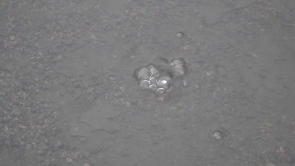 由于气体从地下冒出来而在水面上产生的气泡 — 图库视频影像