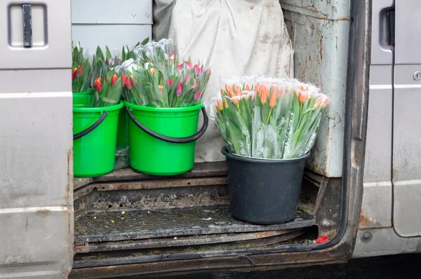 Тюльпаны Ведрах Готовятся Продаже Перед Празднованием Марта Высокое Качество Фото — стоковое фото