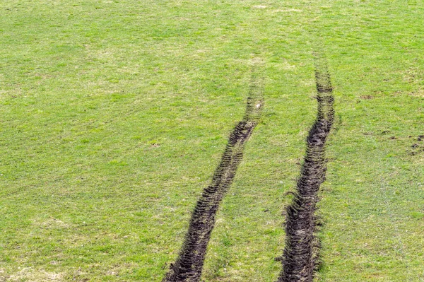 Tracteur Pistes Sur Champ Herbe Arrière Plan Avec Espace Copie — Photo