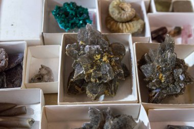 Mineraller kutulara. Alçıtaşı kristalleri ortada. Seçici odak