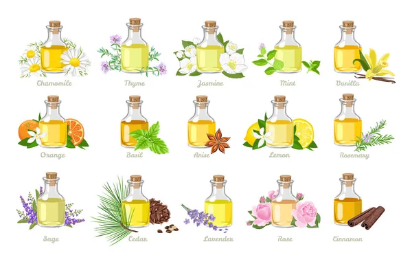 Set Essential Oils Glass Bottles Herbs Flowers Vector Illustration Cartoon — Stock Vector