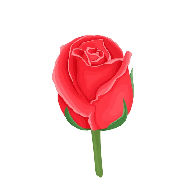 Red Rose Flower Isolated White Background Vector Illustration Icon Cartoon — Stock Vector