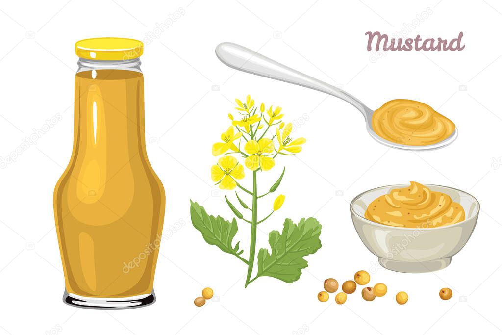 Mustard sauce set. Yellow flower, grains, mustard in a metal spoon, glass jar and bowl isolated on white background. Vector illustration of hot seasoning in cartoon flat style.