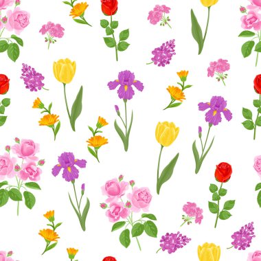 Çiçeksiz desenli pembe güller, irisler, kadife çiçeği, leylak, lale ve sardunya. Botanik geçmişi. Vektör çizgi film düz illüstrasyon.