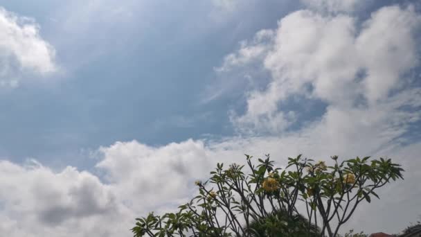 Footage Looking Beautiful Blue Sky — Stock Video