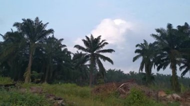 Kırsal kesimde sabahın erken saatlerinde gün doğumu gökyüzü.