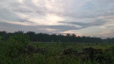 Kırsal kesimde sabahın erken saatlerinde gün doğumu gökyüzü.