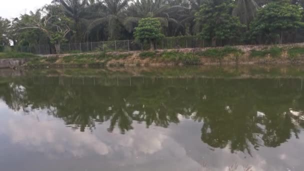 Imagens Folhagem Longo Banco Reflexão Sobre Lagoa Céu Manhã — Vídeo de Stock