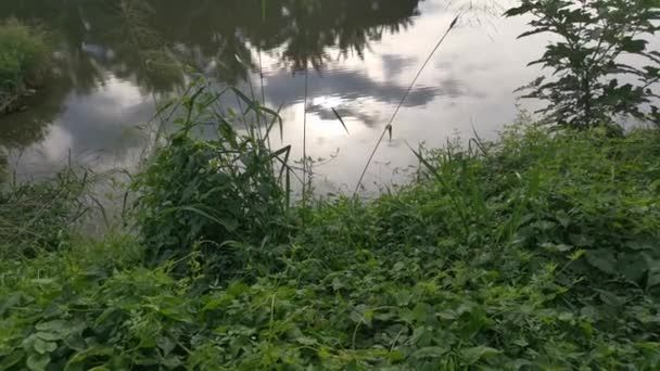Footage Foliage Bank Reflection Pond Morning Sky — Stock Video