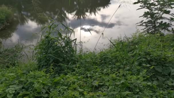 Filmaufnahmen Vom Laub Ufer Und Der Spiegelung Des Teiches Morgenhimmel — Stockvideo