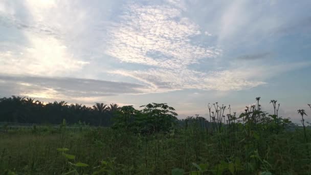 Laps Temps Lever Soleil Tôt Matin Ciel Campagne — Video