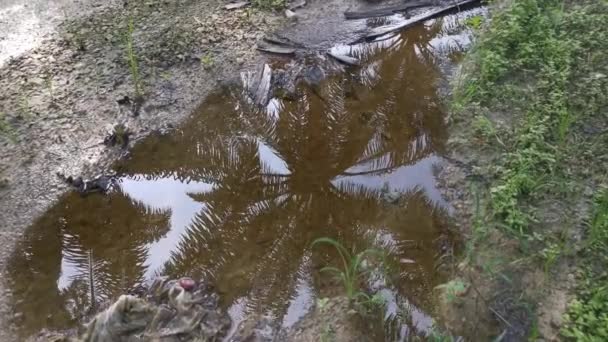 Záběry Stojaté Kaluže Dešťové Vody Štěrkové Cestě Venkově — Stock video