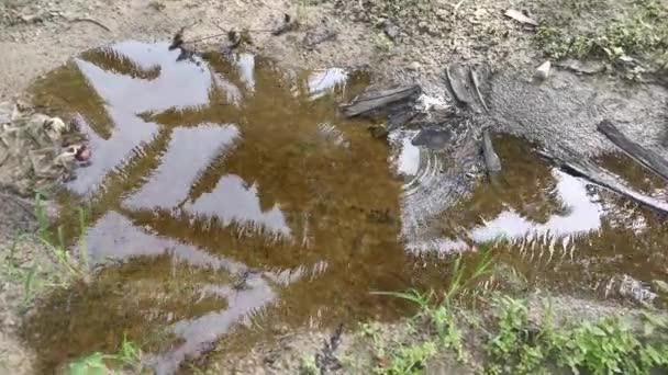 Des Images Piscine Stagnante Eau Pluie Sur Route Gravier Rurale — Video