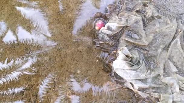 Aufnahmen Des Stehenden Regenwasserbeckens Auf Der Ländlichen Schotterstraße — Stockvideo