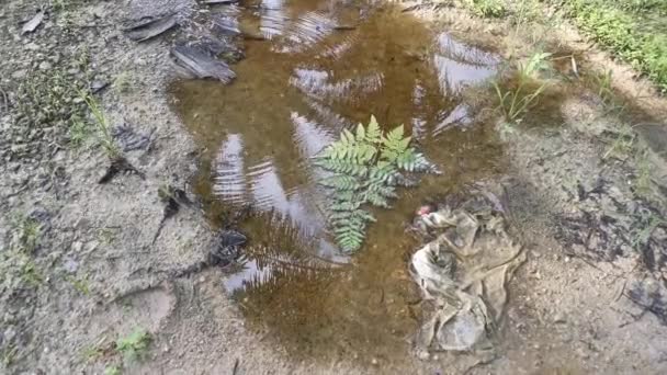 Rekaman Dari Kolam Air Hujan Yang Stagnan Jalan Berkerikil Pedesaan — Stok Video