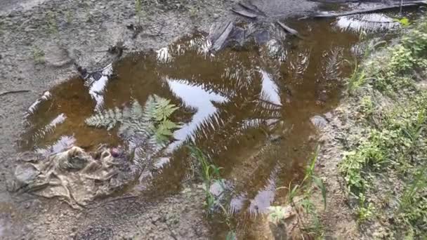 Beelden Van Stilstaande Plas Regenwater Landelijke Grindweg — Stockvideo