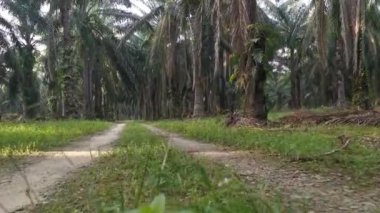 İleri hareket hareketinin görüntüleri yakın çekim sahnesi