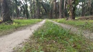 İleri hareket hareketinin görüntüleri yakın çekim sahnesi