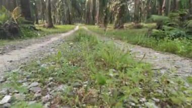 İleri hareket hareketinin görüntüleri yakın çekim sahnesi