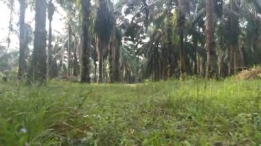 İleri hareket hareketinin görüntüleri yakın çekim sahnesi